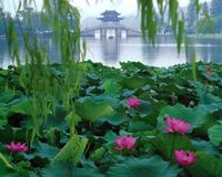 Озеро  Сиху