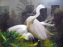 Сучжоуская вышивка