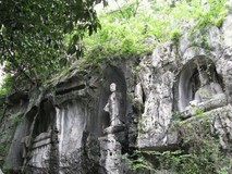 Полоска Дневного Света 