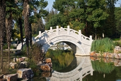 Ботанический сад