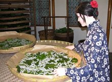 Музей Шелка в Сучжоу