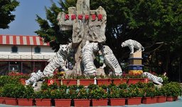 Сафари-Парк диких животных (Chime-Long Xiangjiang Safari)