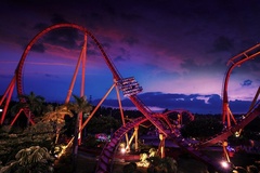 Парк аттракционов - ChimeLong Paradisе