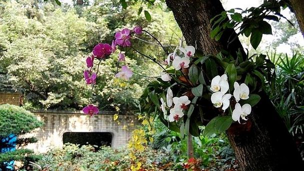 У подножья Байюнь - Гуанчжоу