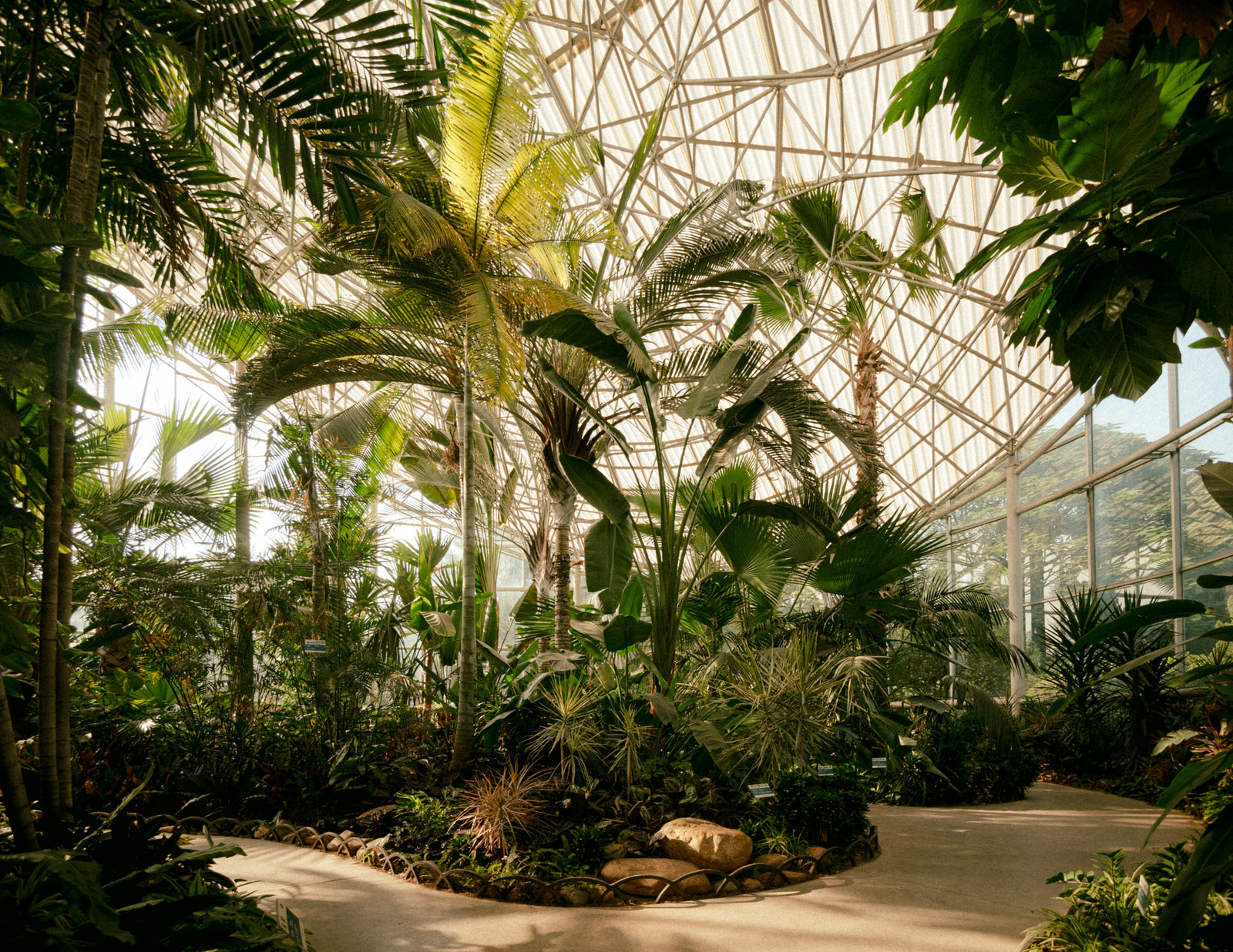 Ботанический сад в Гуанчжоу