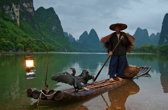 Рыбалка с помощью баклана