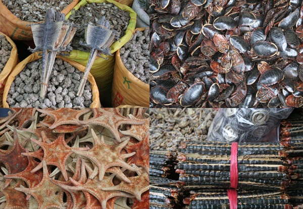 Экзотический рынок Цинпин в Гуанчжоу