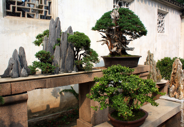 Сад скромного чиновника в Сучжоу - сад бонсай