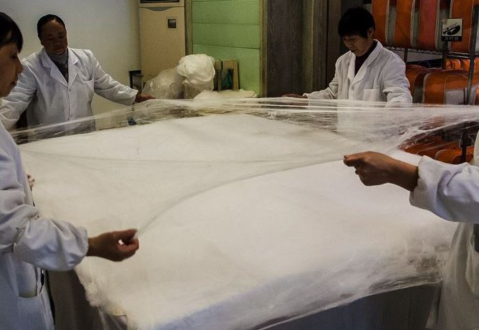 Музей Шелка - растяжка