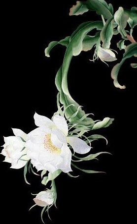 Вышивка Сучжоу - стиль Сусю