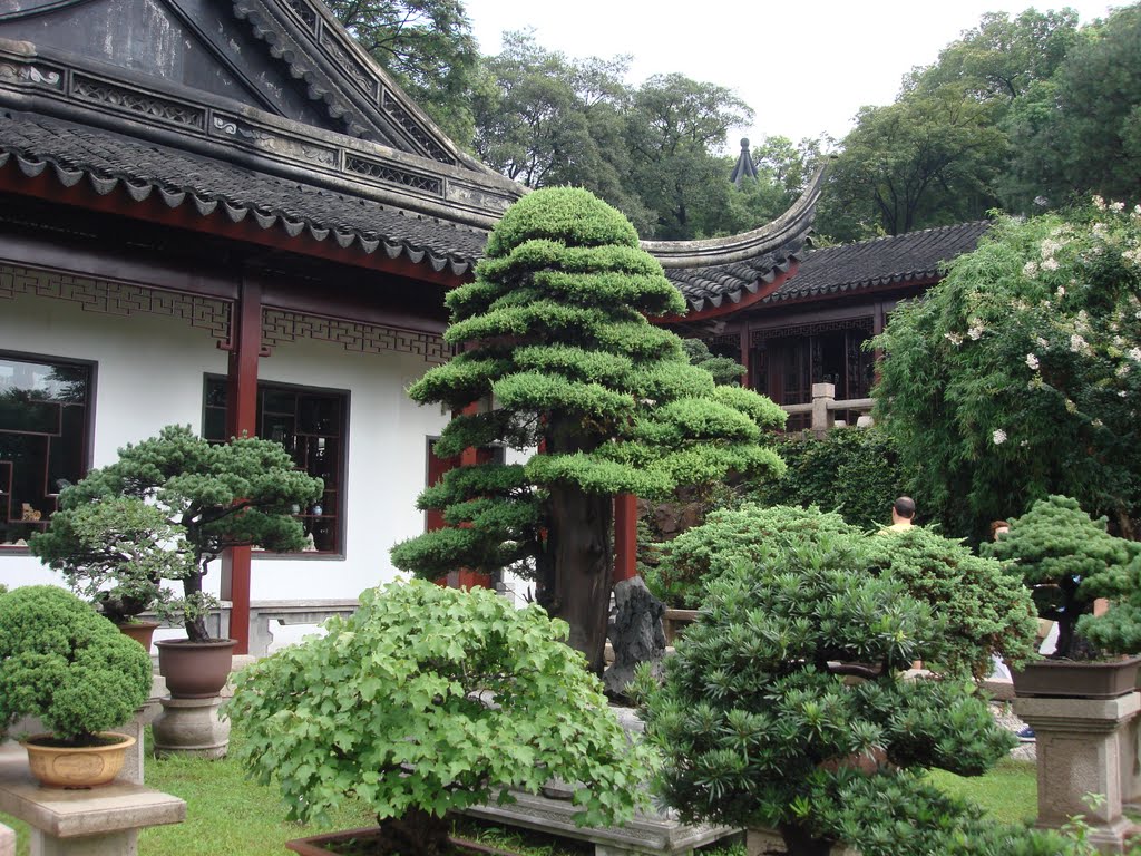 Сад бонсай в Сучжоу на Холме Тигра